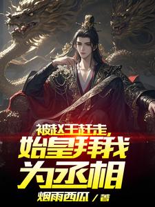 被赵王赶走，始皇拜我为丞相